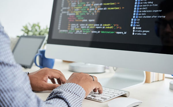 Custom Software Development