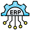 Enterprise and ERP platforms
