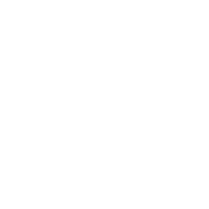 Global Projects