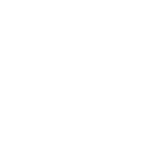 Team of Skilled 
Professionals
